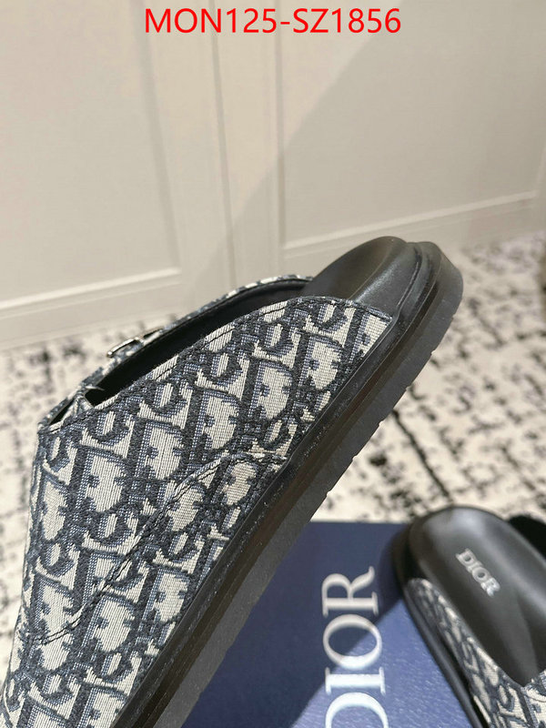 Men shoes-Dior top perfect fake ID: SZ1856 $: 125USD