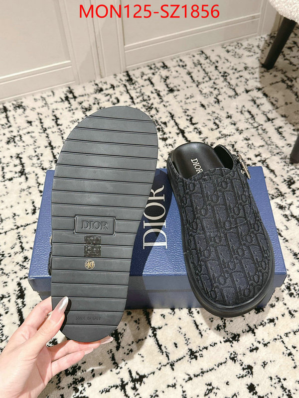 Men shoes-Dior top perfect fake ID: SZ1856 $: 125USD