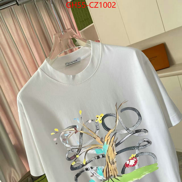 Clothing-Loewe designer 7 star replica ID: CZ1002 $: 55USD