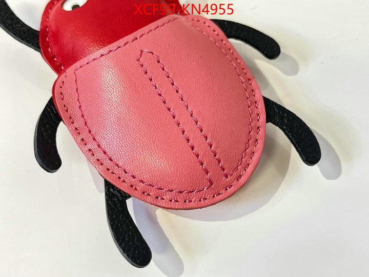 ID: KN4955