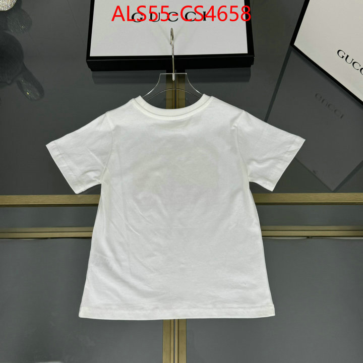 ID: CS4658