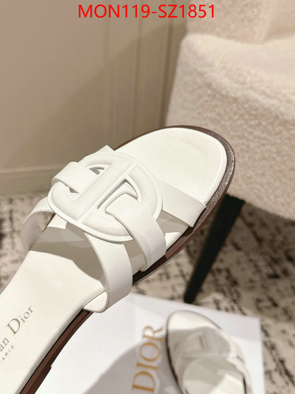 Women Shoes-Dior cheap replica designer ID: SZ1851 $: 119USD