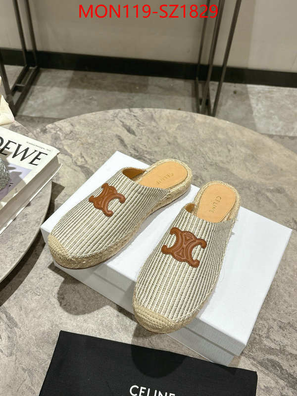 Women Shoes-CELINE what are the best replica ID: SZ1829 $: 119USD