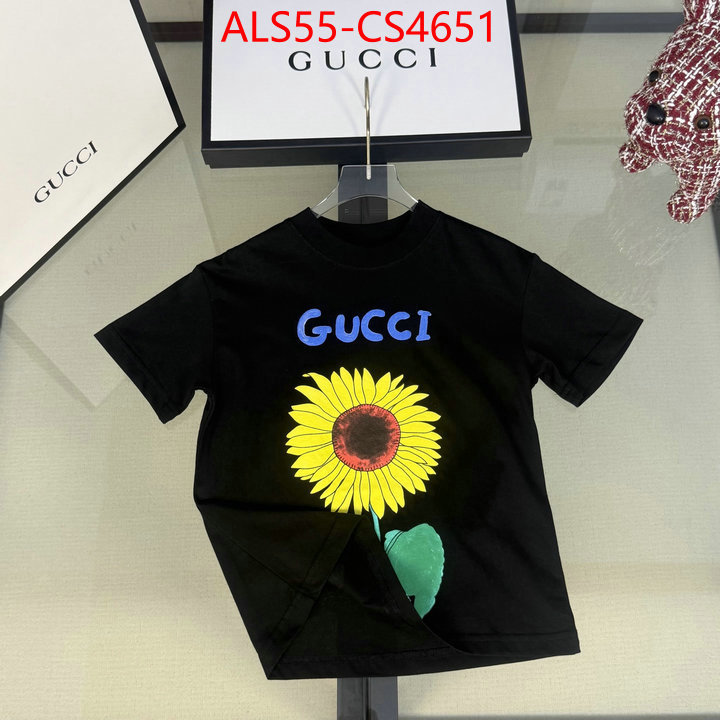 ID: CS4651