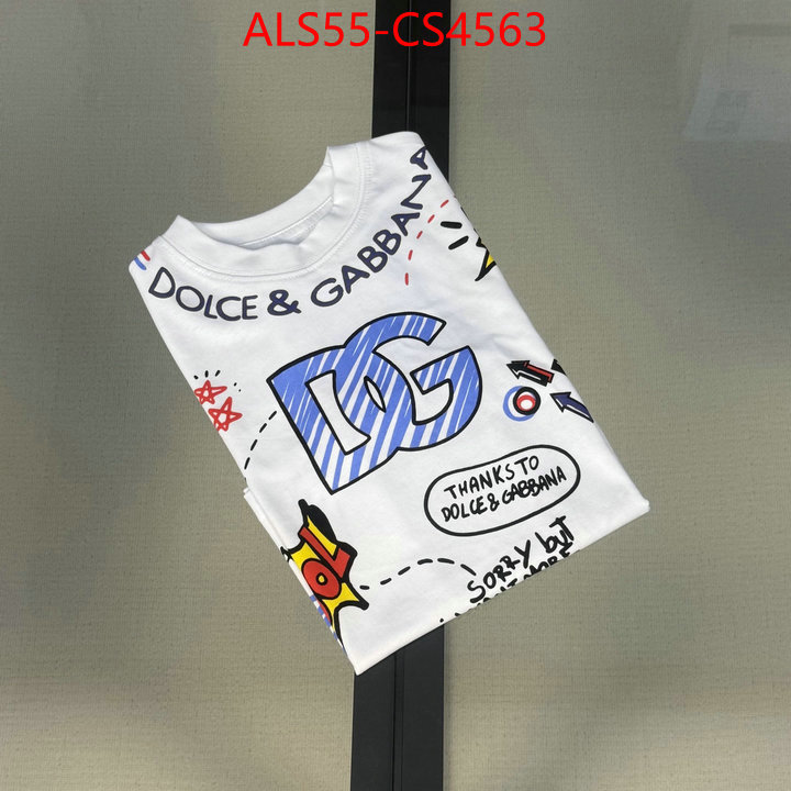 ID: CS4563