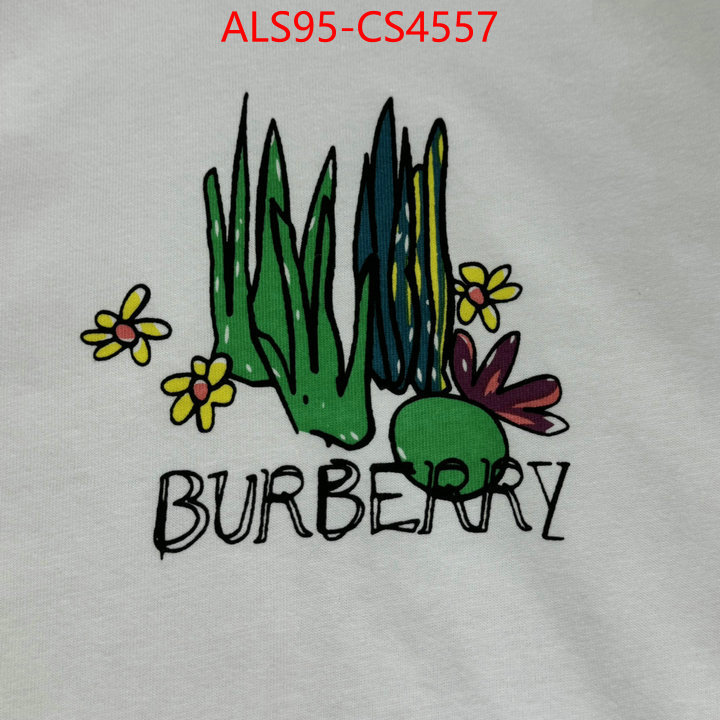 ID: CS4557