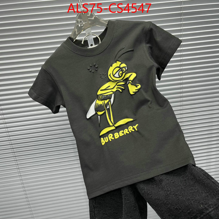 ID: CS4547