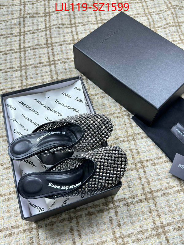 Women Shoes-Alexander Wang what is top quality replica ID: SZ1599 $: 119USD