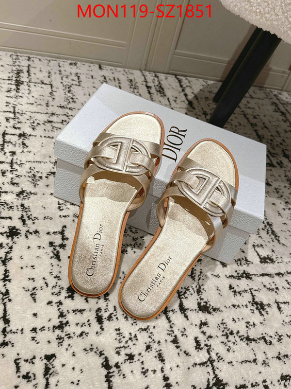 Women Shoes-Dior cheap replica designer ID: SZ1851 $: 119USD