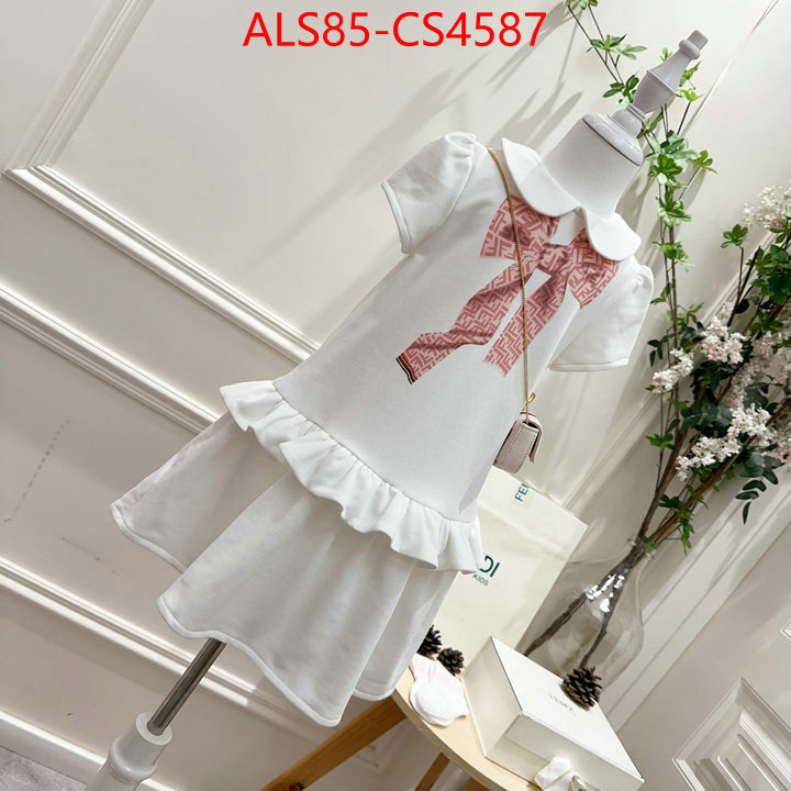 ID: CS4587