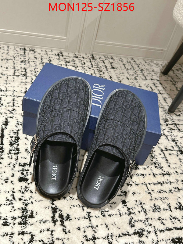 Men shoes-Dior top perfect fake ID: SZ1856 $: 125USD