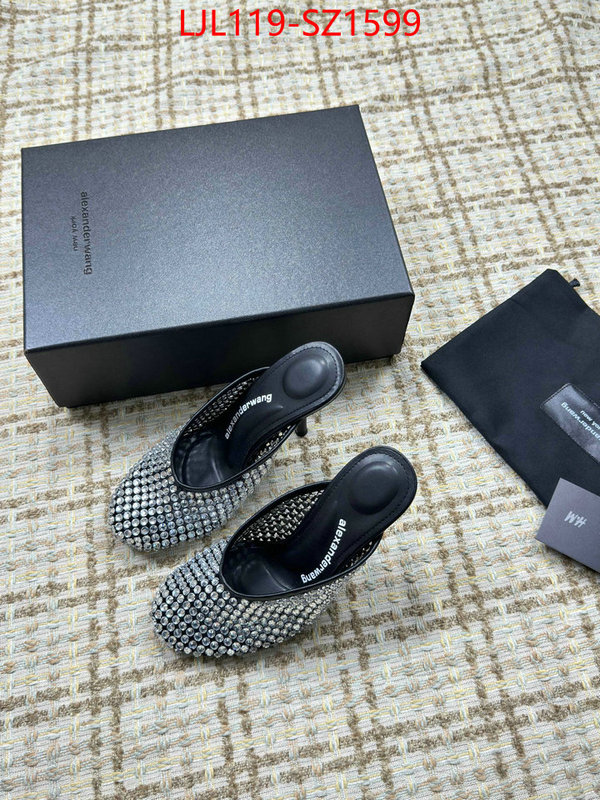 Women Shoes-Alexander Wang what is top quality replica ID: SZ1599 $: 119USD