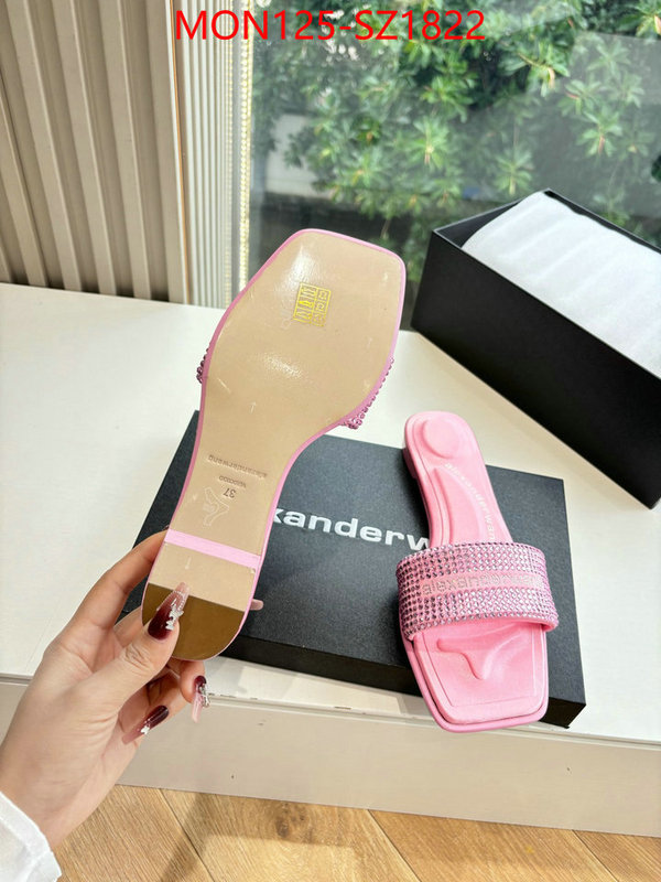 Women Shoes-Alexander Wang online sales ID: SZ1822 $: 125USD