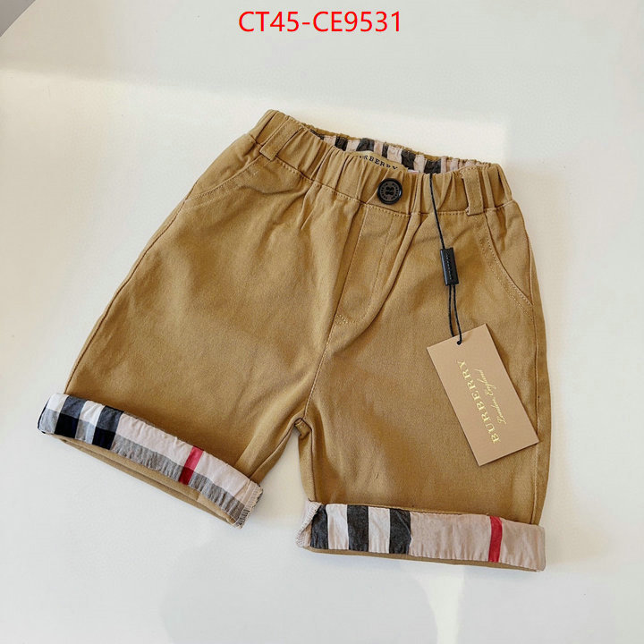 ID: CE9531