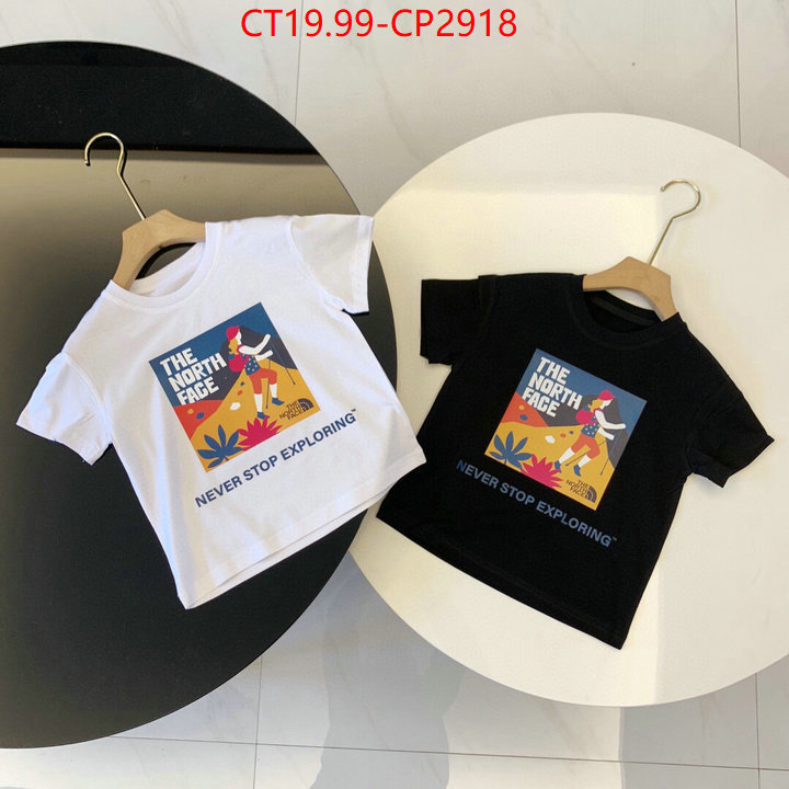 ID: CP2918