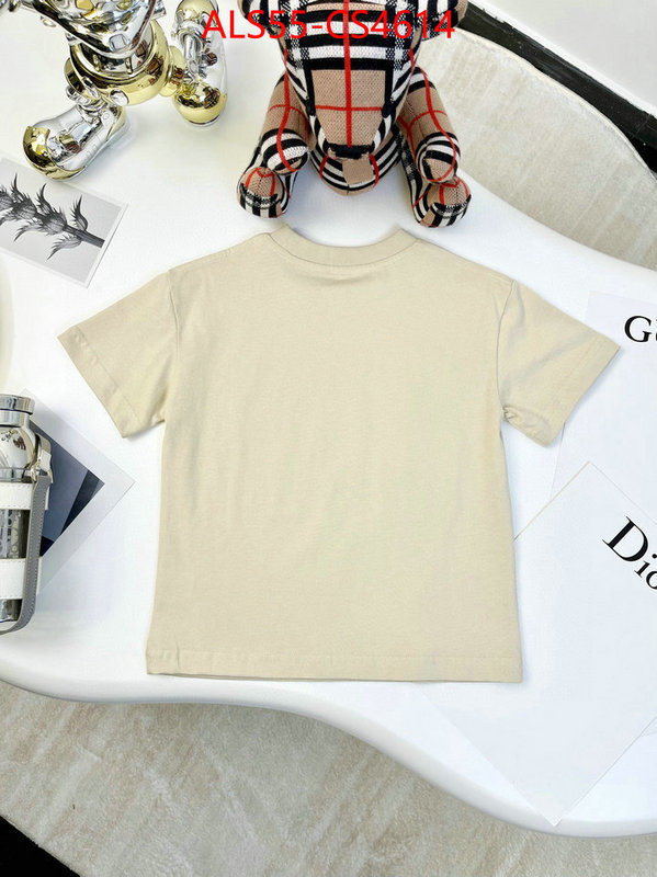 ID: CS4614