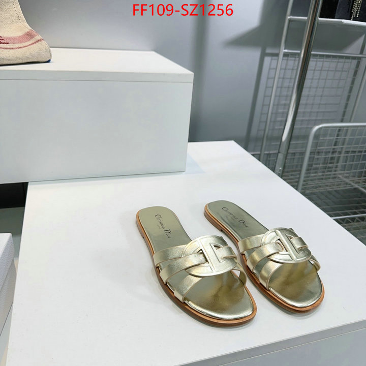 Women Shoes-Dior buying replica ID: SZ1256 $: 109USD