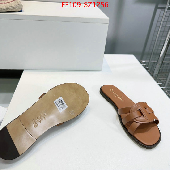 Women Shoes-Dior buying replica ID: SZ1256 $: 109USD