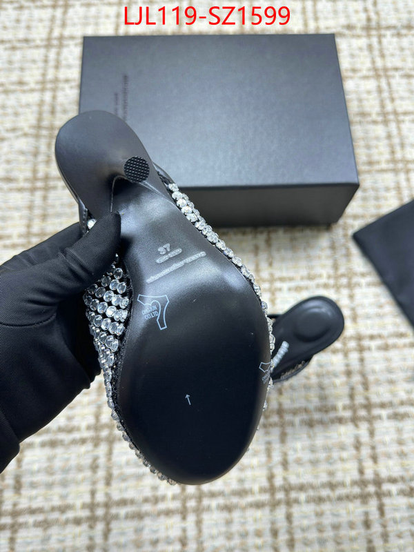 Women Shoes-Alexander Wang what is top quality replica ID: SZ1599 $: 119USD