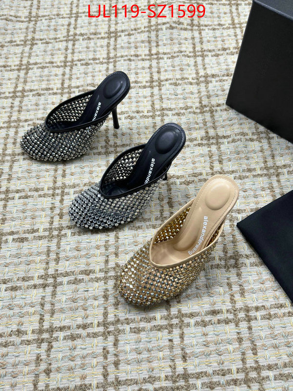 Women Shoes-Alexander Wang what is top quality replica ID: SZ1599 $: 119USD