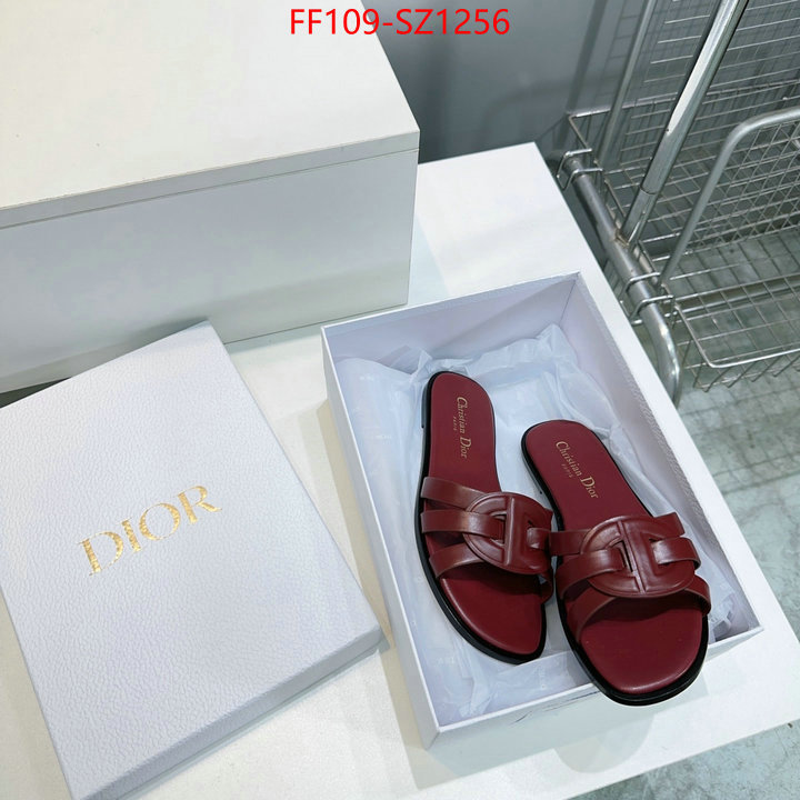 Women Shoes-Dior buying replica ID: SZ1256 $: 109USD