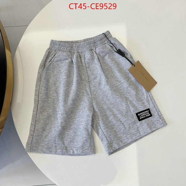 ID: CE9529