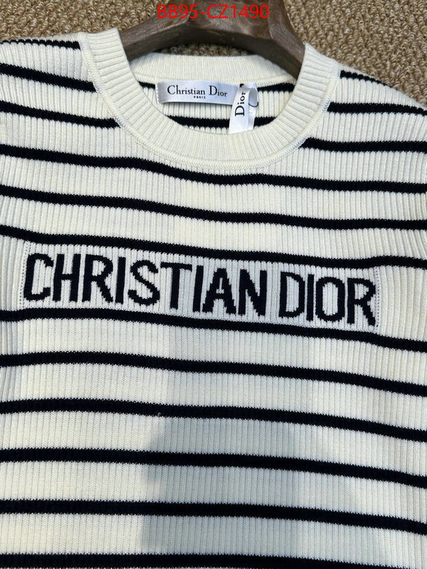 Clothing-Dior wholesale ID: CZ1490 $: 95USD
