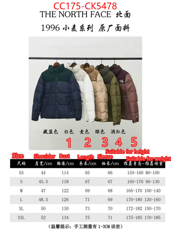 Down jacket Men-The North Face shop now ID: CK5478 $: 175USD