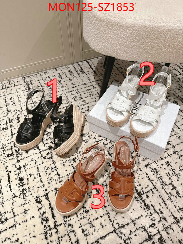 Women Shoes-Dior how to start selling replica ID: SZ1853 $: 125USD