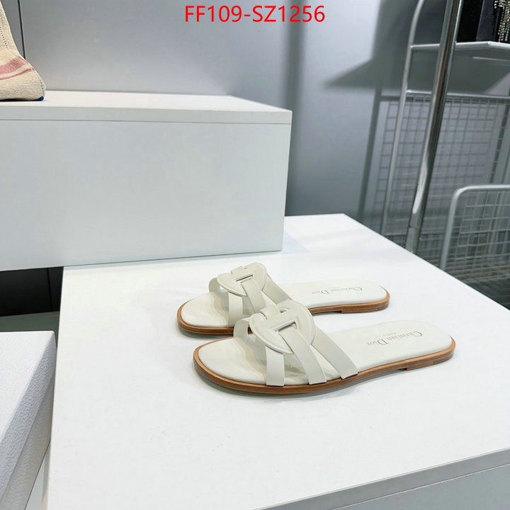 Women Shoes-Dior buying replica ID: SZ1256 $: 109USD