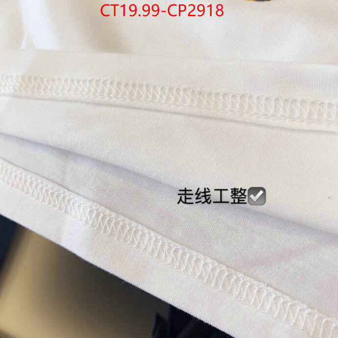 ID: CP2918