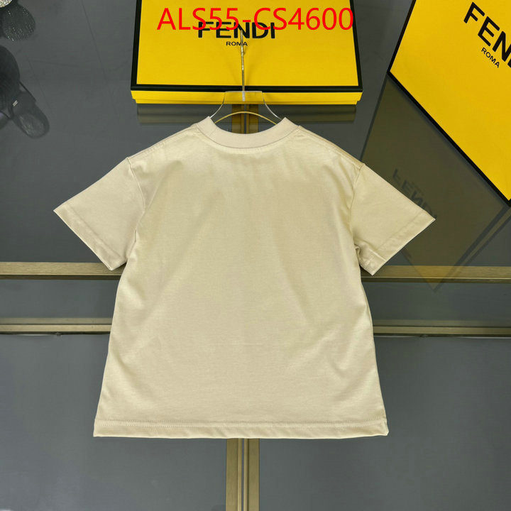 ID: CS4600