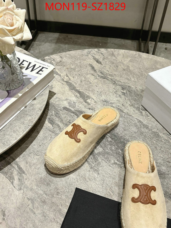 Women Shoes-CELINE what are the best replica ID: SZ1829 $: 119USD