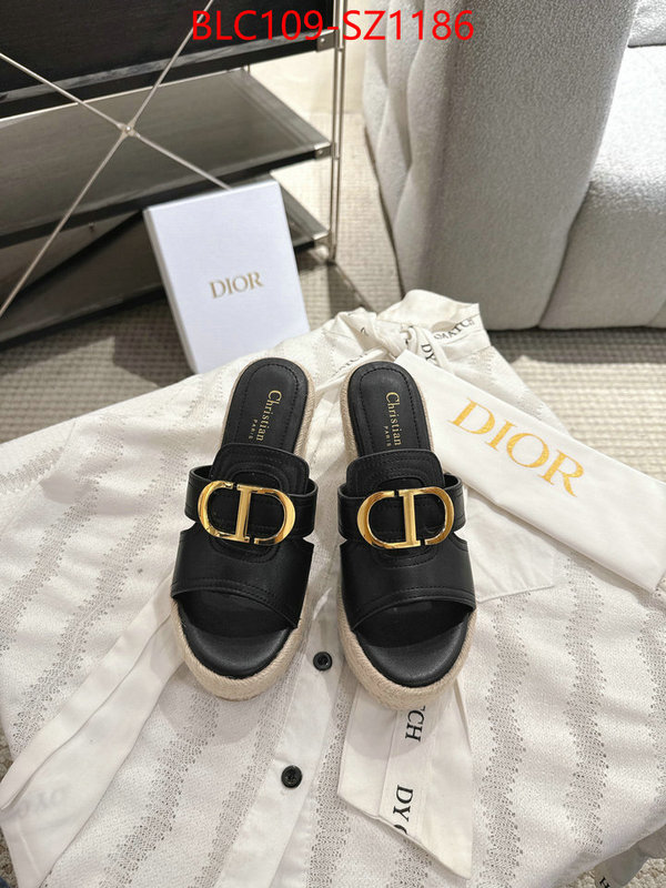 Women Shoes-Dior where to find the best replicas ID: SZ1186 $: 109USD