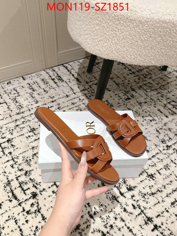 Women Shoes-Dior cheap replica designer ID: SZ1851 $: 119USD