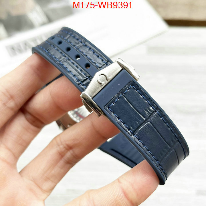ID: WB9391