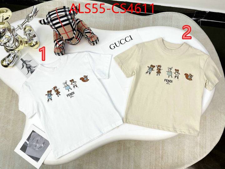 ID: CS4611