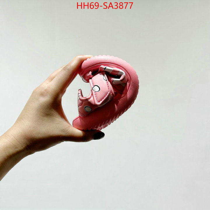 ID: SA3877