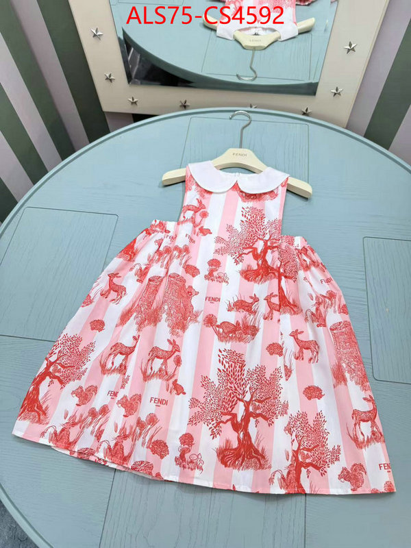 ID: CS4592