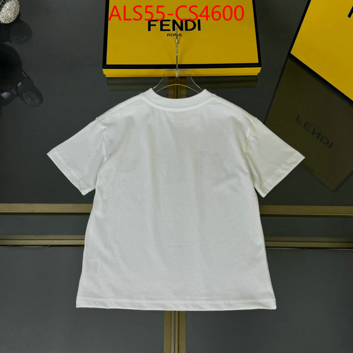 ID: CS4600