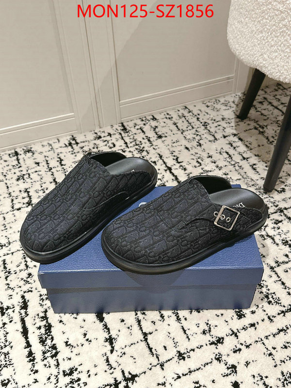 Men shoes-Dior top perfect fake ID: SZ1856 $: 125USD