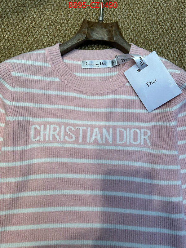 Clothing-Dior wholesale ID: CZ1490 $: 95USD