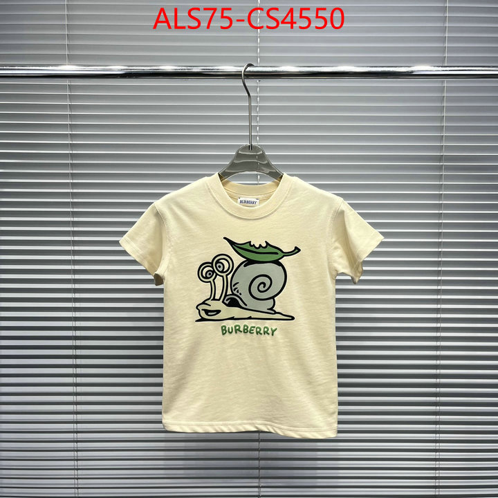 ID: CS4550