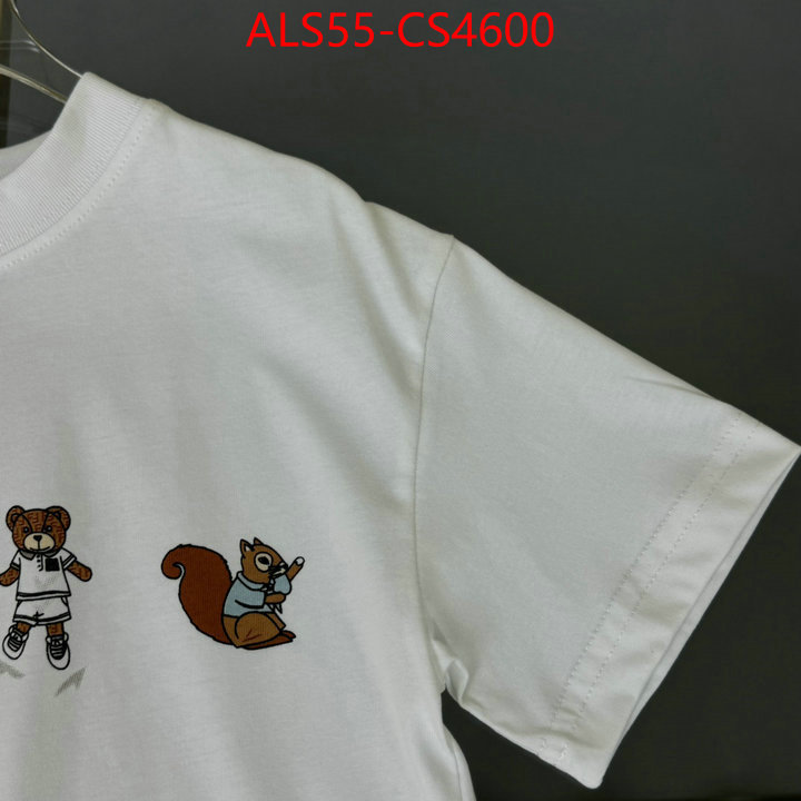 ID: CS4600
