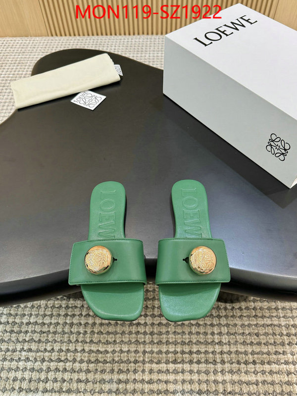 Women Shoes-Loewe new ID: SZ1922 $: 119USD
