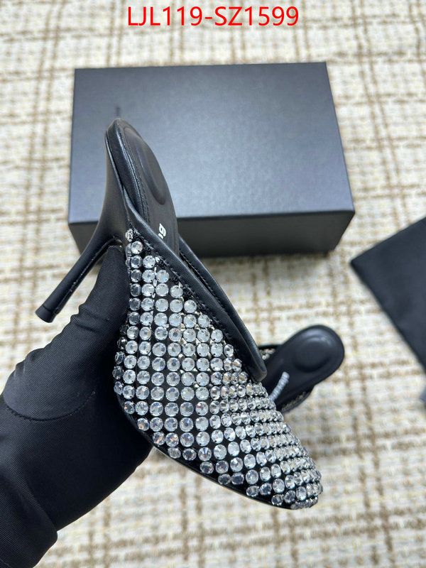 Women Shoes-Alexander Wang what is top quality replica ID: SZ1599 $: 119USD