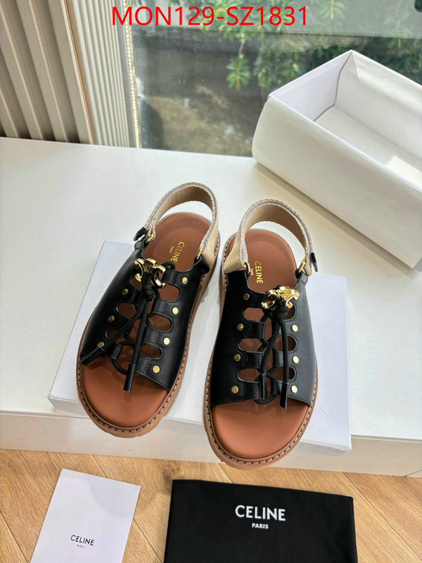 Women Shoes-CELINE supplier in china ID: SZ1831 $: 129USD