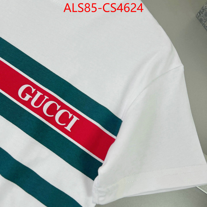 ID: CS4624