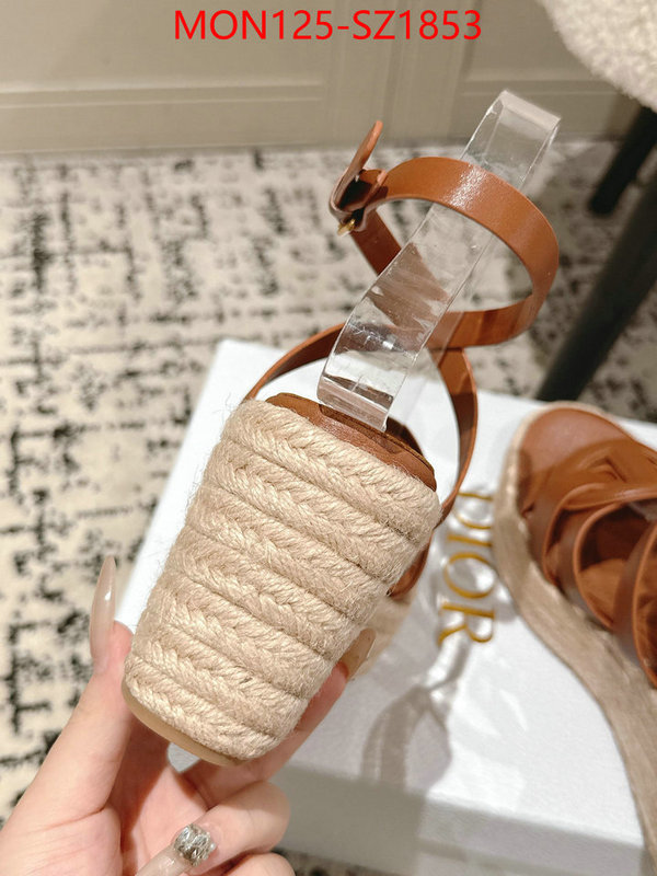Women Shoes-Dior how to start selling replica ID: SZ1853 $: 125USD