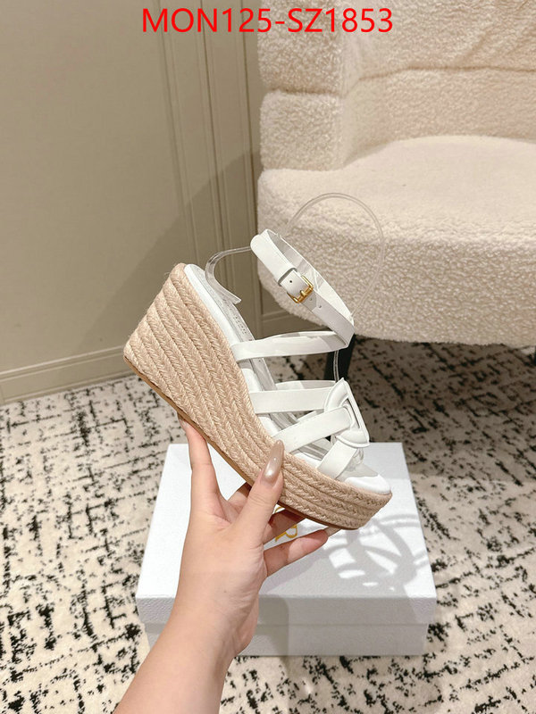 Women Shoes-Dior how to start selling replica ID: SZ1853 $: 125USD